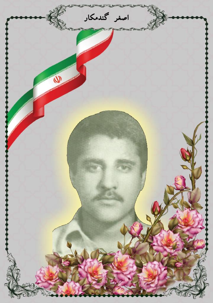 فاقد تصویر